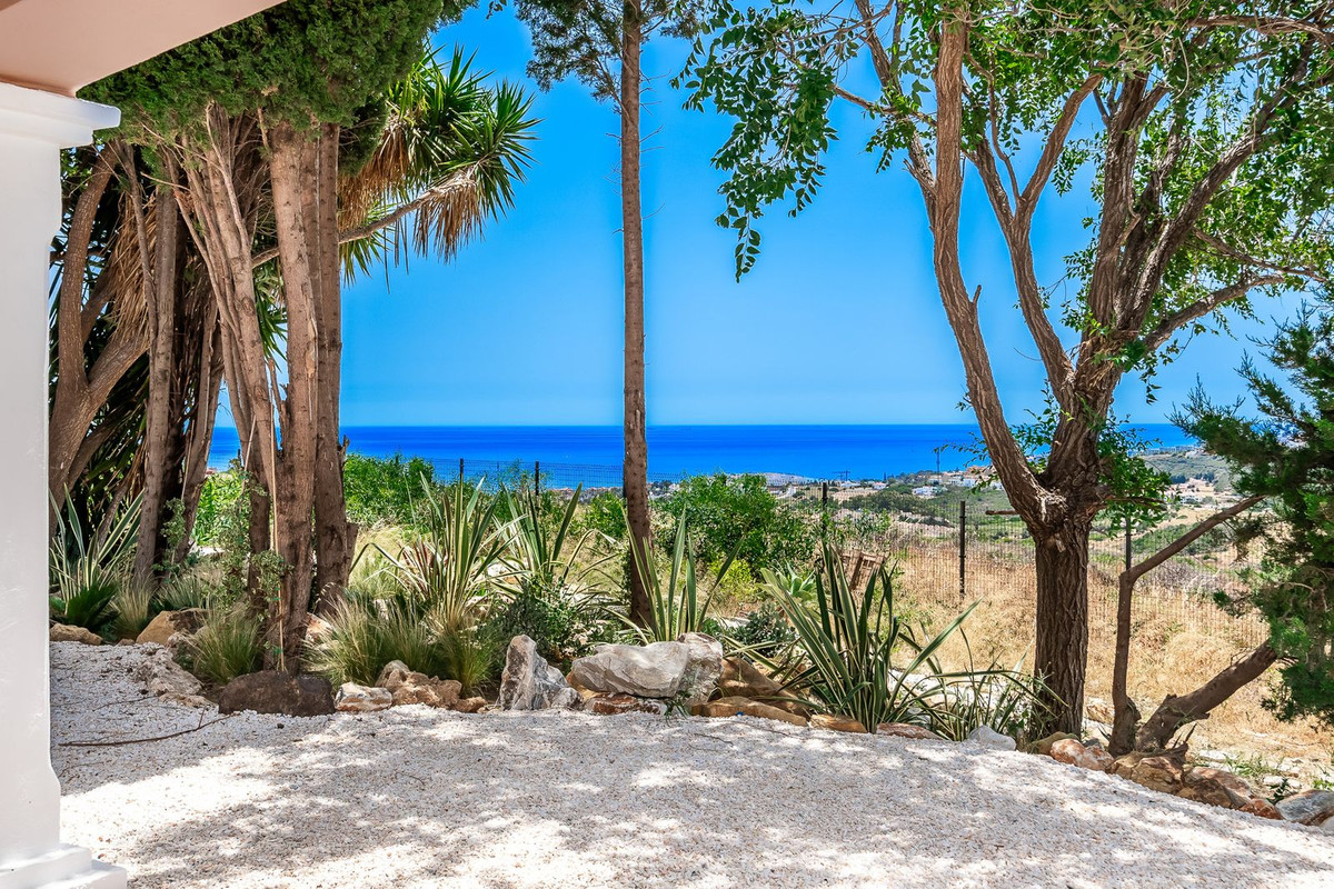 924010a9af008565207e7833fc6495d0 - 24