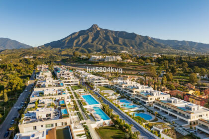 941d919a7c0b28713b73a395eb4ee34c - 41