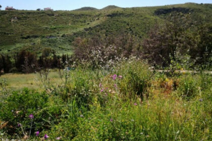 9424dfde54f45819e02e1785a7ad9a3f - 2