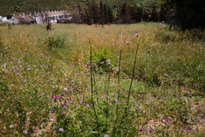 9424dfde54f45819e02e1785a7ad9a3f - 3