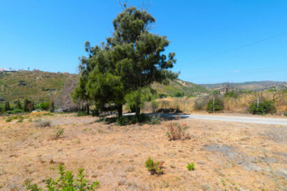 9424dfde54f45819e02e1785a7ad9a3f - 9