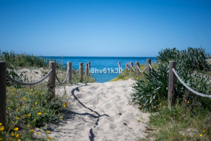 97113704c1b6e32f6a127a2f6817d6a6 - 45