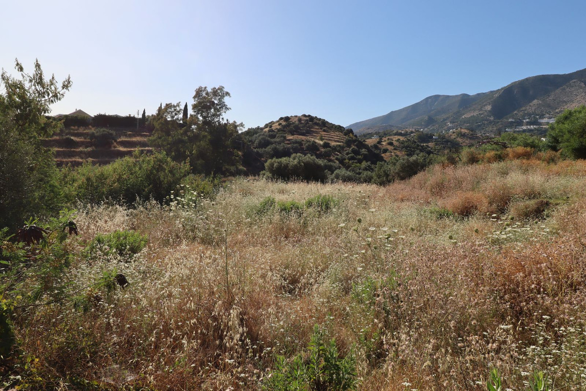 97516ca4fc5149918e234fe8f9bd5ba3 - 1