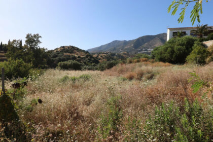 97516ca4fc5149918e234fe8f9bd5ba3 - 2