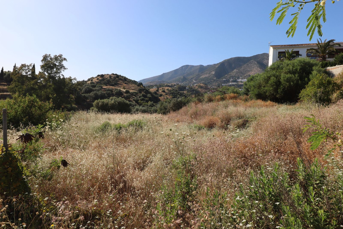 97516ca4fc5149918e234fe8f9bd5ba3 - 2