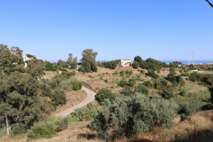 97516ca4fc5149918e234fe8f9bd5ba3 - 3