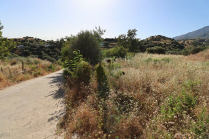 97516ca4fc5149918e234fe8f9bd5ba3 - 4