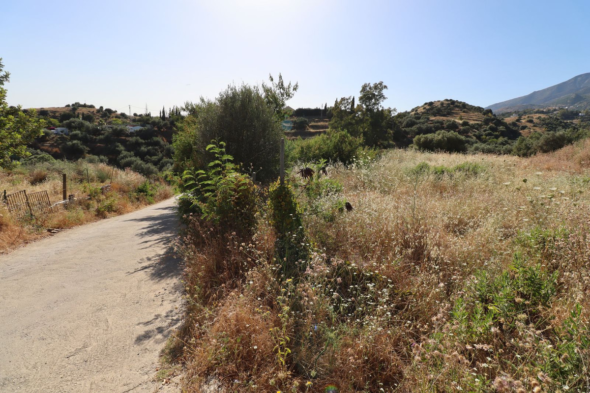 97516ca4fc5149918e234fe8f9bd5ba3 - 4