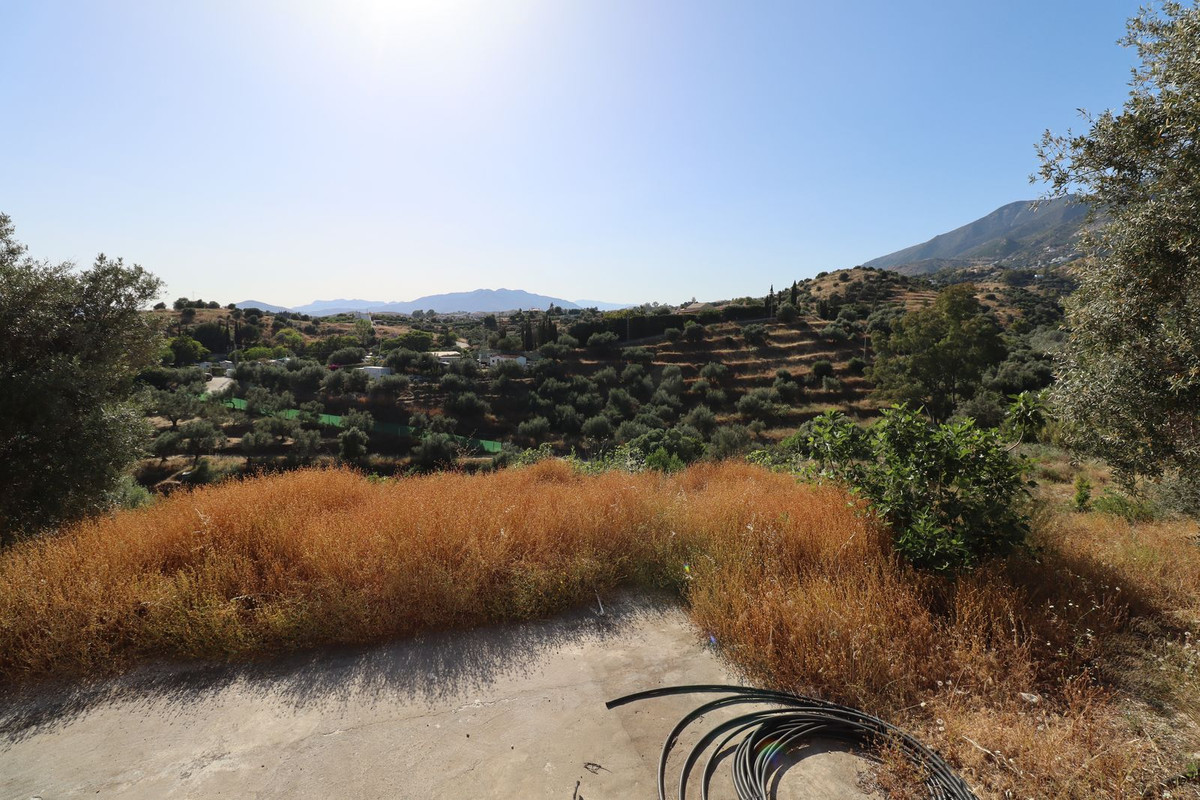 97516ca4fc5149918e234fe8f9bd5ba3 - 5