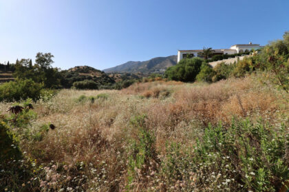 97516ca4fc5149918e234fe8f9bd5ba3 - 6