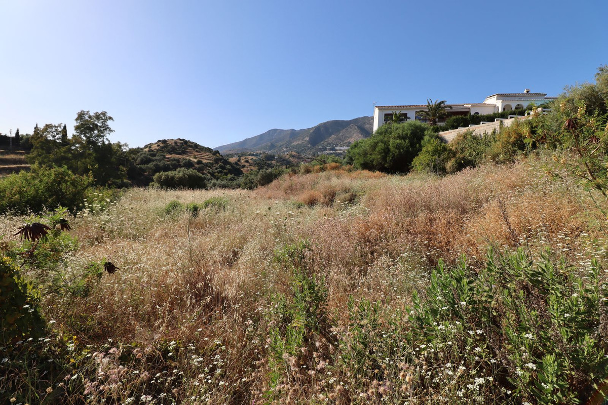 97516ca4fc5149918e234fe8f9bd5ba3 - 6