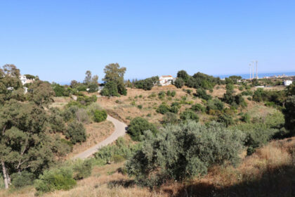 97516ca4fc5149918e234fe8f9bd5ba3 - 7