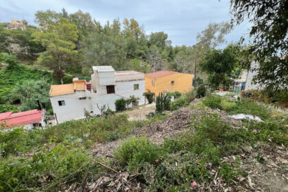 98d2fb2a815b83110f7c384bacdfbcf0 - 19