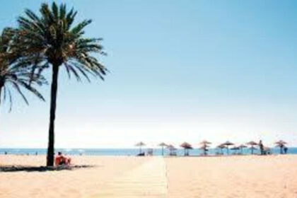 9bc9cca53f110c99cbef08fa499addd9 - 17