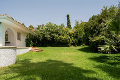 9fdd9908814853979eb041be3f0ea8ff - 22