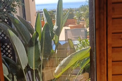 a8406560b1ad6c0cb9125178ace44d2a - 34