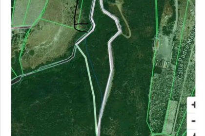 ab1908101ce895f2c45de0fef87f69df - 1