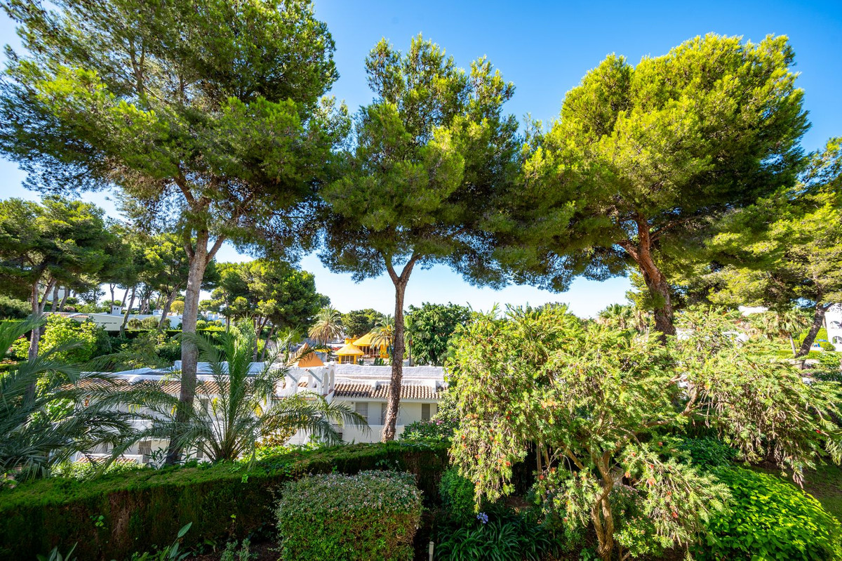 af103b6592c7b6157d8254673d76524d - 19