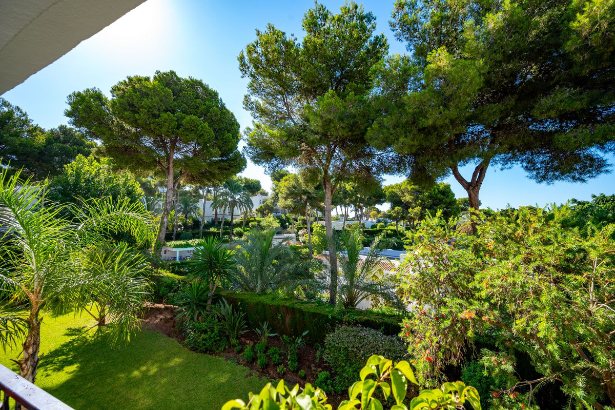 af103b6592c7b6157d8254673d76524d - 20