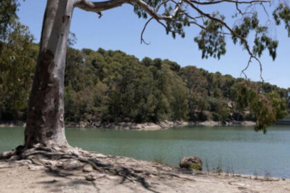 afc6899341abecaec8266a914887898f - 15