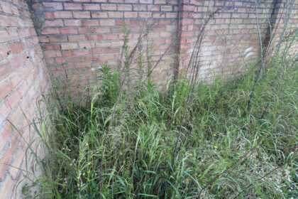 affbf9c887fbb062f8bb9ac247ee3ff0 - 4