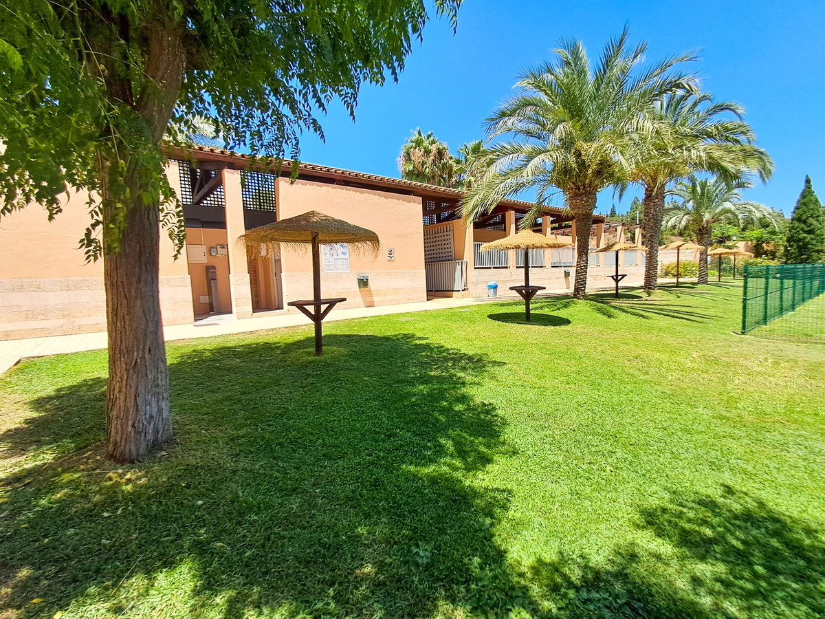 b45f0b265f054bae4e9bcccbcfb0cf9f - 33