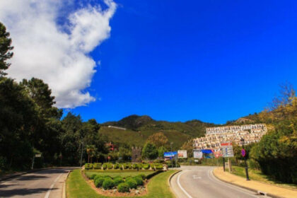 b97220d145b00f1abf2c9539b19f5cb2 - 14