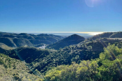 b97220d145b00f1abf2c9539b19f5cb2 - 15