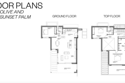plano