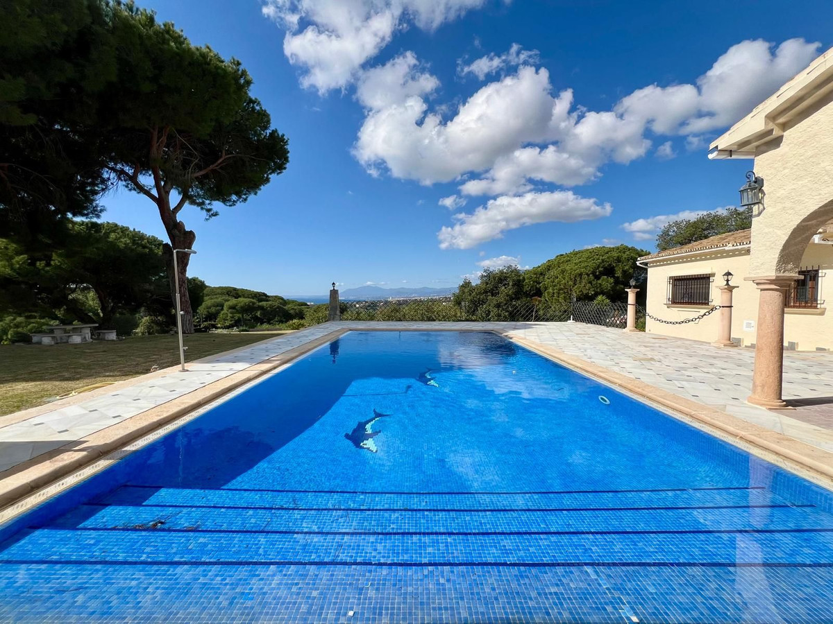 c1d5cb665195d6b2a549b7bdb23d3edc - 1