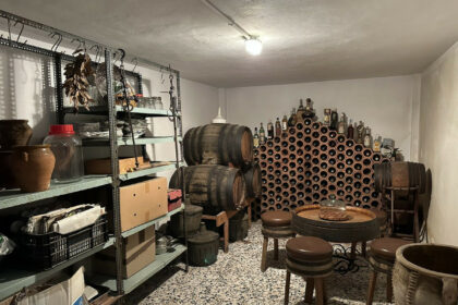 c613c491f54394ee21a43586ca1cb026 - 10