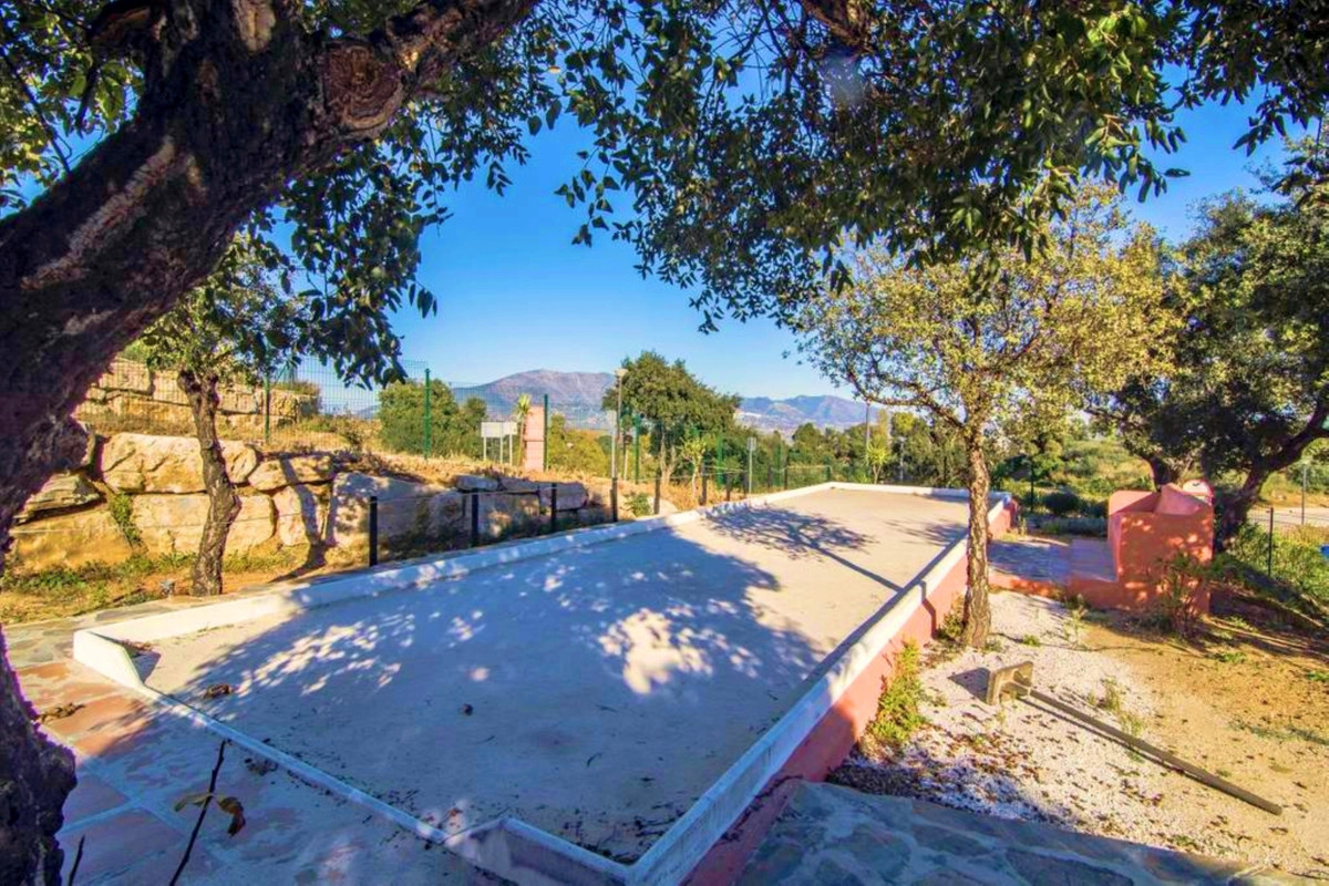 c6193e04eeee5883f8be58a5f898e1ec - 26