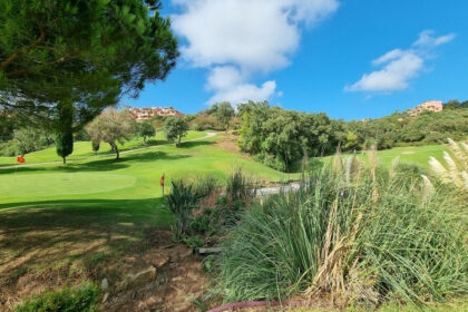 c6193e04eeee5883f8be58a5f898e1ec - 29