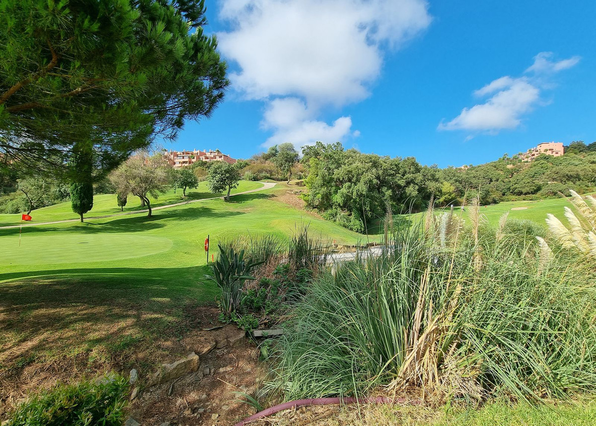 c6193e04eeee5883f8be58a5f898e1ec - 29