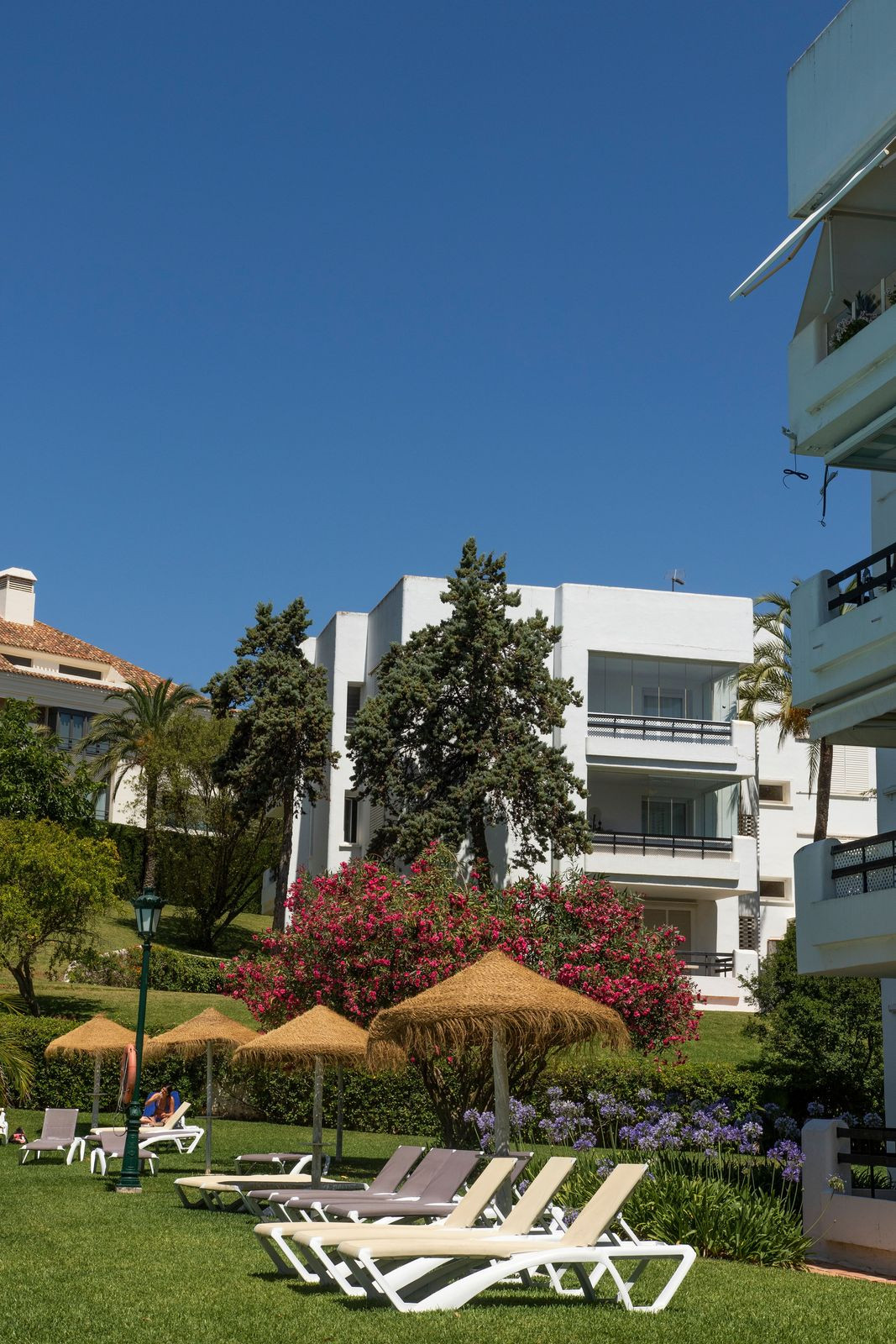 cafd728a5599ae95cfb2048d03e9e5b3 - 45