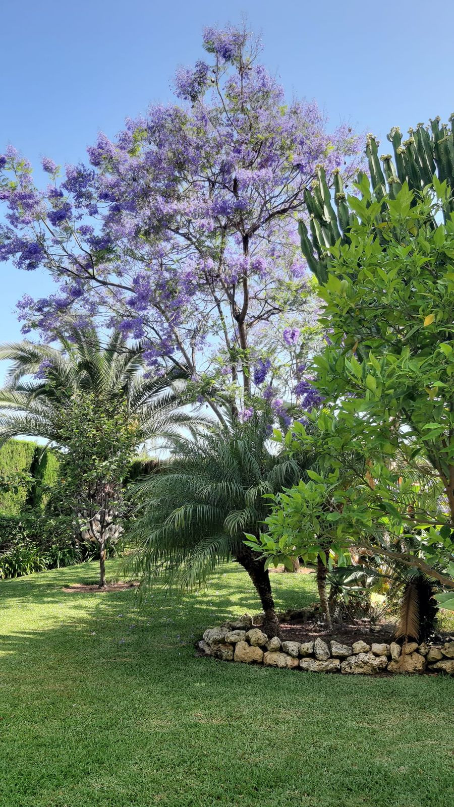 cafd728a5599ae95cfb2048d03e9e5b3 - 53