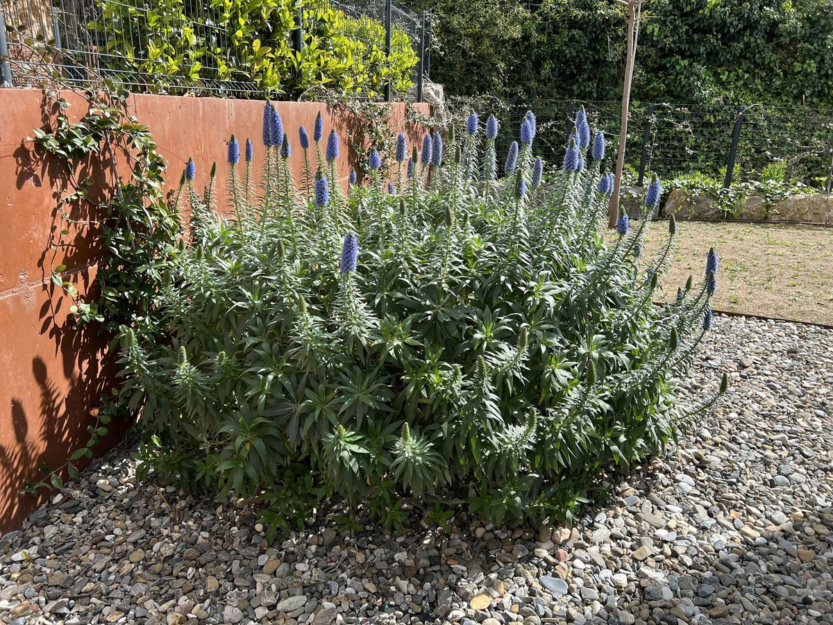 d52916f53d37210a26d6a05c7a22837e - 45