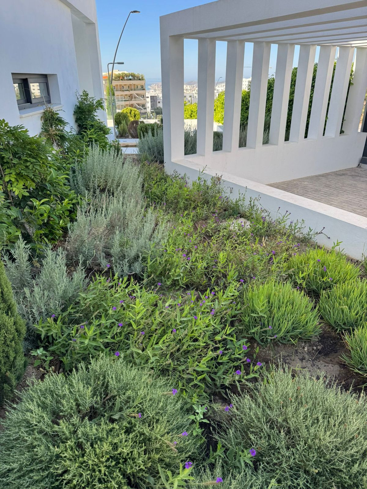 d52916f53d37210a26d6a05c7a22837e - 47