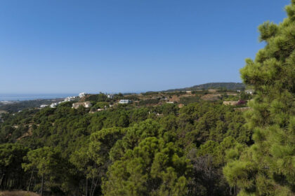 d9e807dbc5aaf6c700b54ff4bab0ad40 - 10