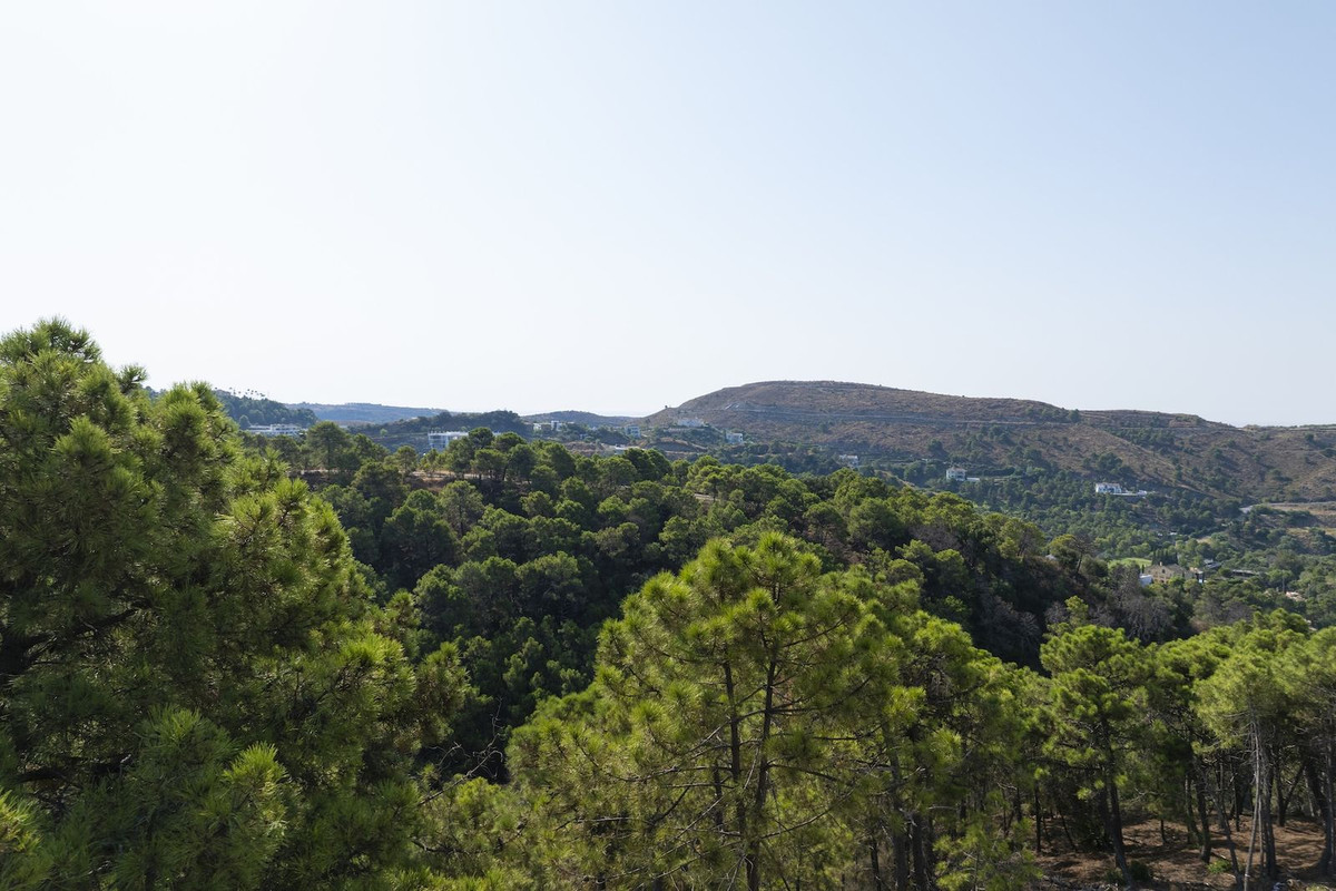 d9e807dbc5aaf6c700b54ff4bab0ad40 - 11