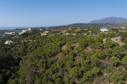 d9e807dbc5aaf6c700b54ff4bab0ad40 - 12