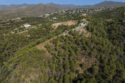 d9e807dbc5aaf6c700b54ff4bab0ad40 - 2