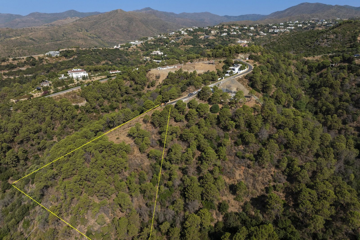 d9e807dbc5aaf6c700b54ff4bab0ad40 - 2