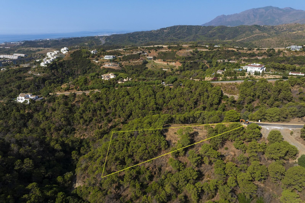 d9e807dbc5aaf6c700b54ff4bab0ad40 - 3