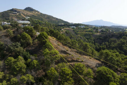 d9e807dbc5aaf6c700b54ff4bab0ad40 - 4