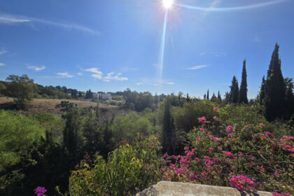 dca0529410ffe7e041705a6e00e0523c - 10