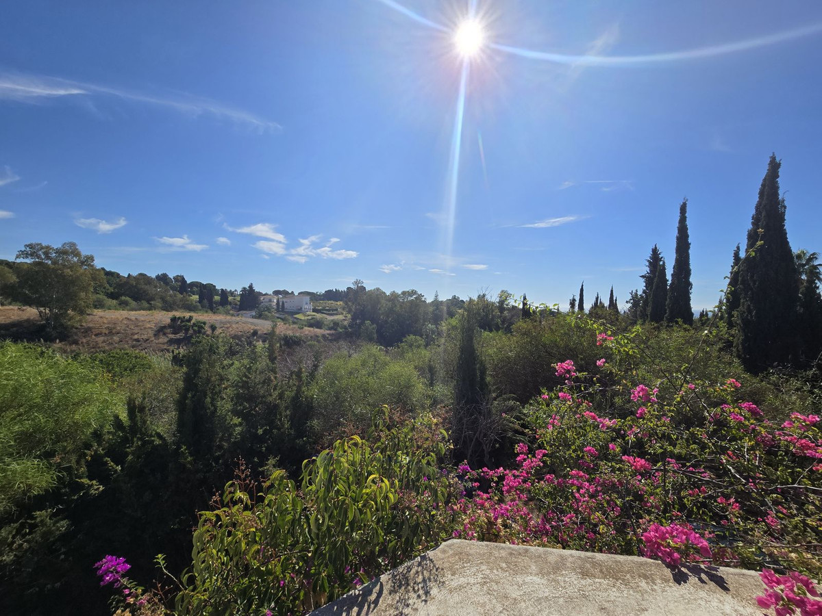 dca0529410ffe7e041705a6e00e0523c - 10