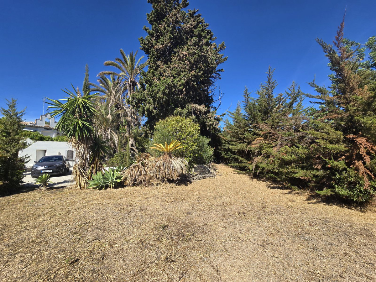 dca0529410ffe7e041705a6e00e0523c - 20