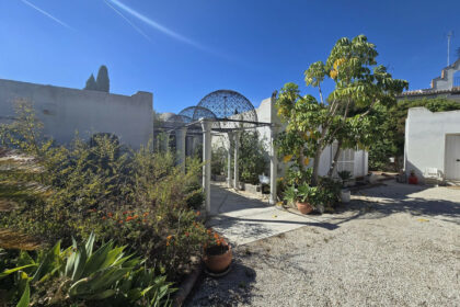 dca0529410ffe7e041705a6e00e0523c - 26