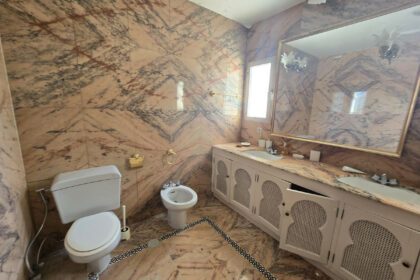 dca0529410ffe7e041705a6e00e0523c - 47